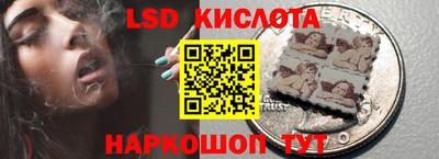 твердый Сланцы