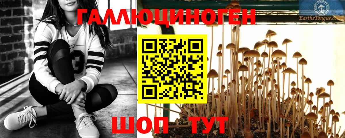 Псилоцибиновые грибы прущие грибы Первоуральск